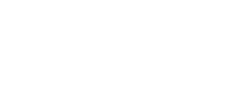 Micropsi Industries